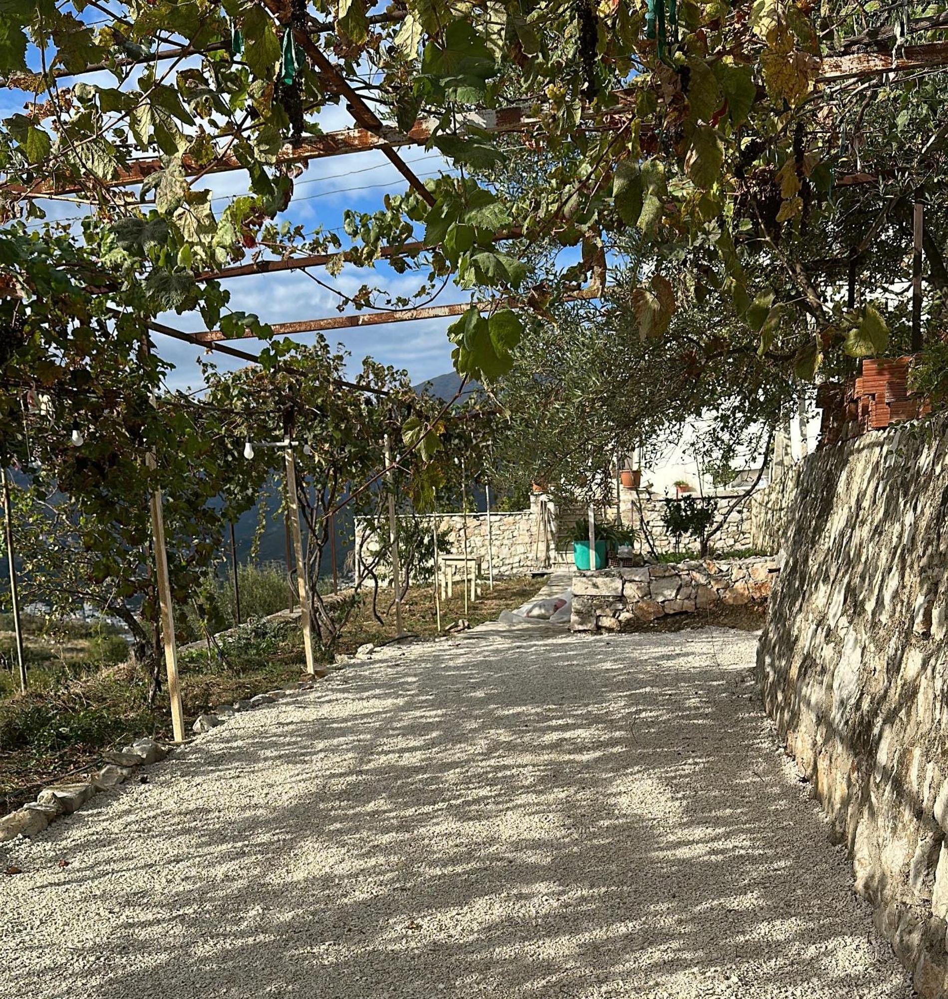 Hostel On The Hill - By Filikuri Beach Himare Bagian luar foto